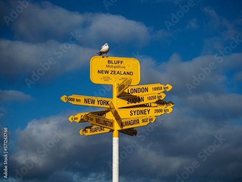 Seagull sitting on famous yellow destination distance information sign post, Stirling Point Bluff Southland New Zealand