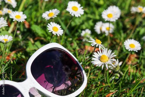 daisies in the grass with sunglasses