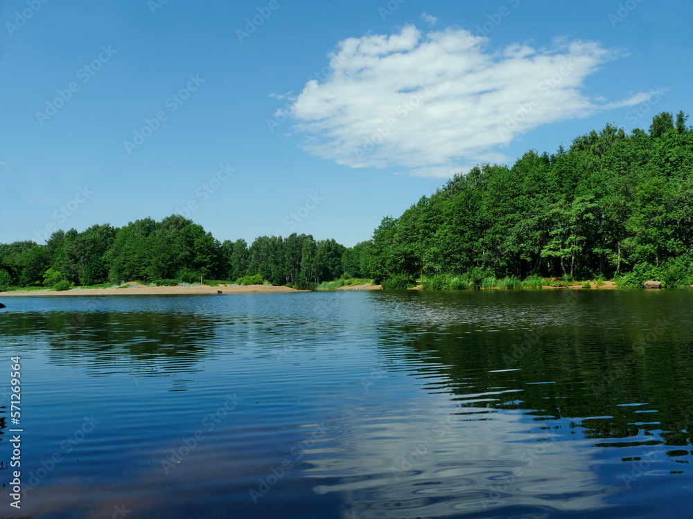 Fototapeta premium river beautiful scenic landscape, forest blue sky, summer vacation