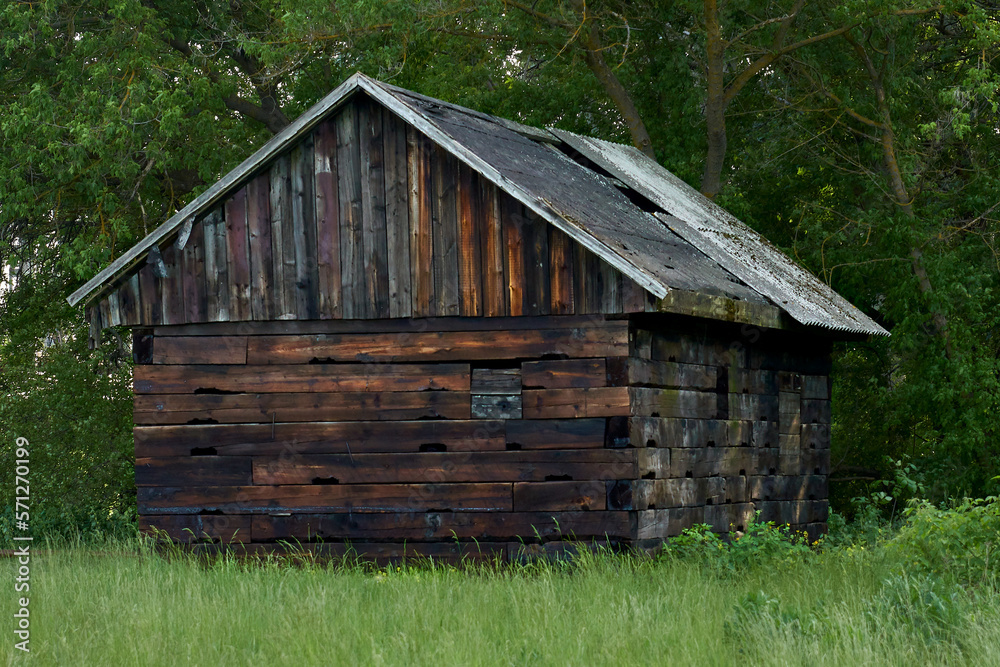 old barn in the forest, old hut old barn in the forest, old hut