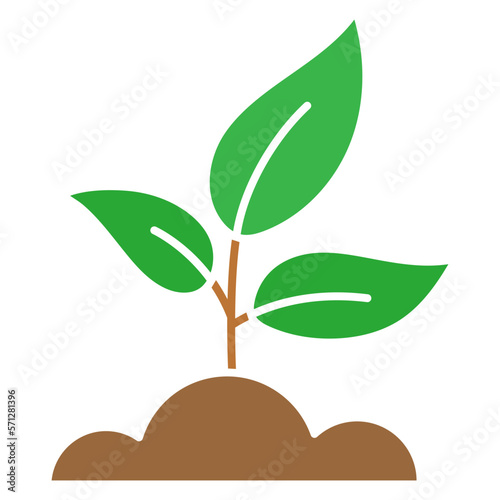 plant with leaves