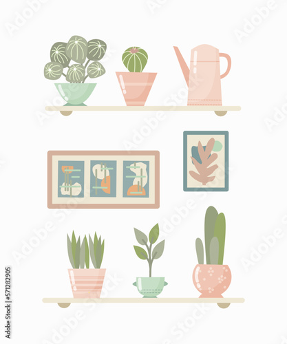House plant vector illustration
