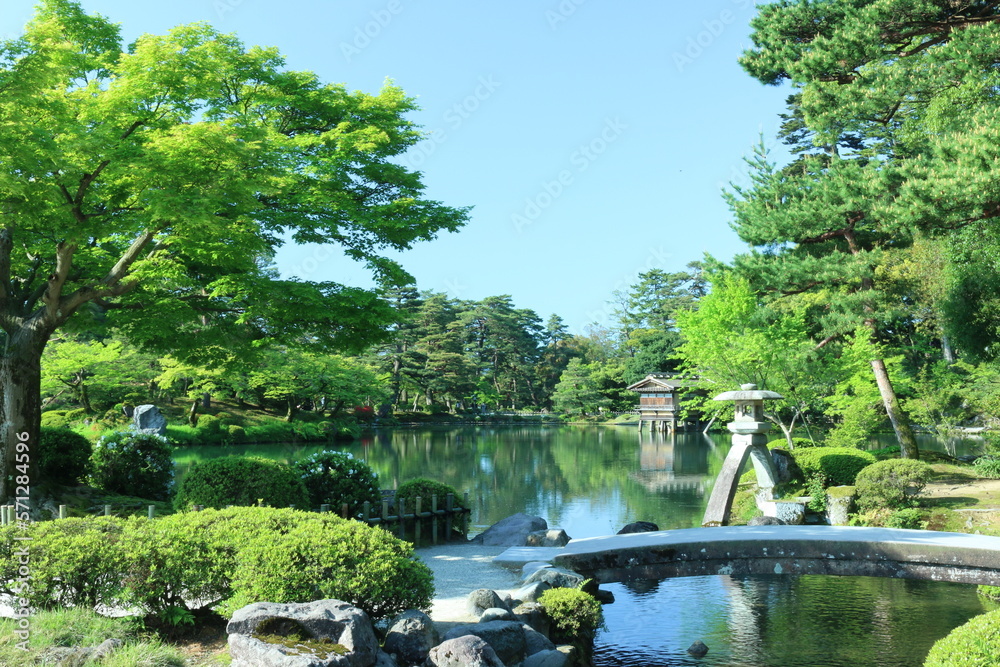 Fototapeta premium 兼六園