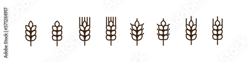 Foto Outline wheat icon or wheat symbol