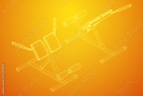 Modern exercise machine for the back and abs. Hyperextension simulator.