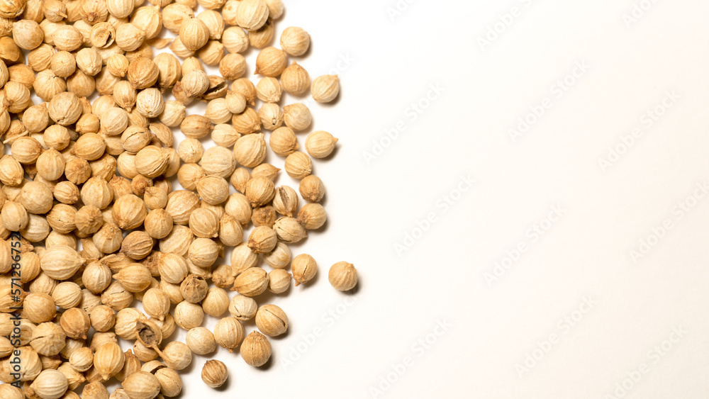 coriander seeds on a white background from a top view coriander seeds on a white background from a top view