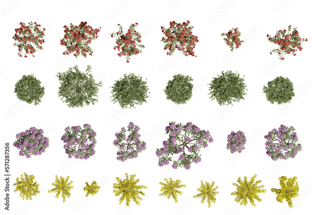 Set of flowers and shrubs, 3D rendering. top view, plan view, for