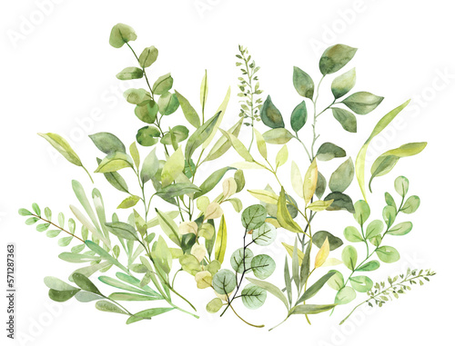 Watercolor hand painted botanical spring leaves and branches illustration clipart isolated on white background. Isolated objects for wedding invitations and greeting cards