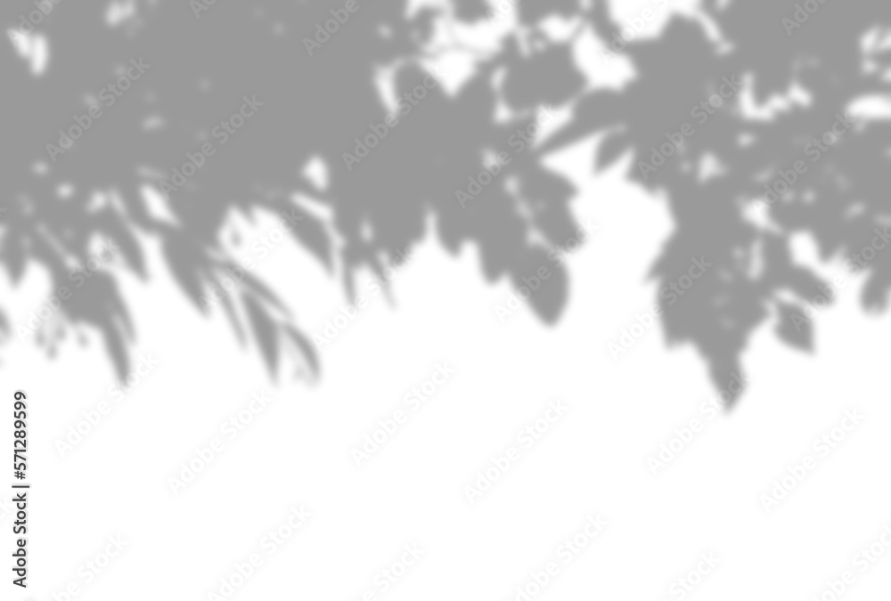 背景イラスト_木漏れ日 背景イラスト_木漏れ日