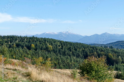 Beautiful landscape of autumn meadow and forest in Plana mountain against the background of Rila mountain, Bulgaria 