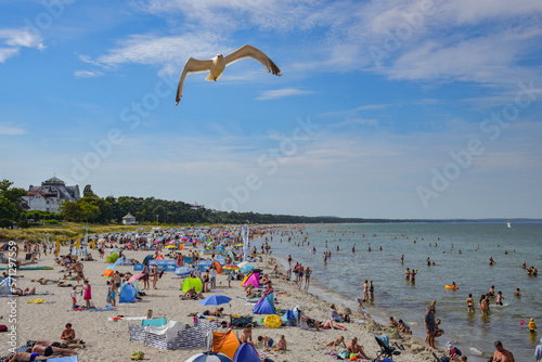 Fototapeta Naklejka Na Ścianę i Meble -  Strand auf der Insel Rügen mit Menschen und Möwe