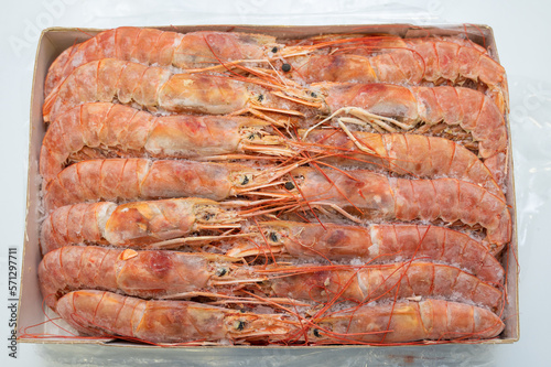 Frozen big king size shrimp...