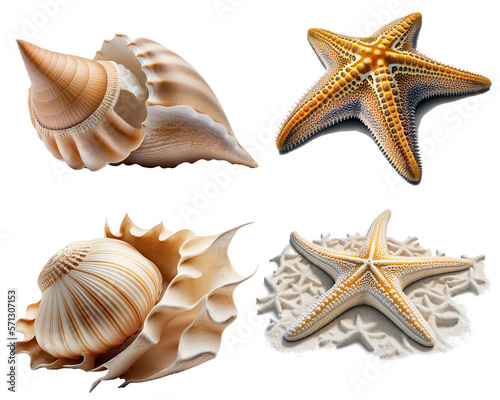 Set of seashells and starfish. Ai generative