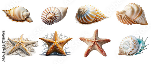 Set of seashells and starfish. Ai generative