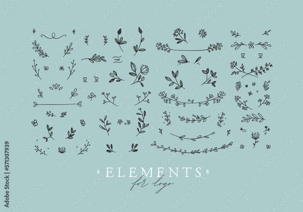 Elements flowers and branches to create label or sign in hand drawing style. Turquoise color background. Elements flowers and branches to create label or sign in hand drawing style. Turquoise color background.