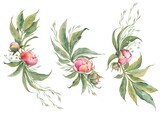 Watercolor set of pink peony arrangements. Illustration isolated on white background.