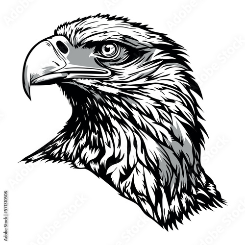 Eagle head. design set. hand drawn engraving. Editable vintage illustration. Isolated on light background.