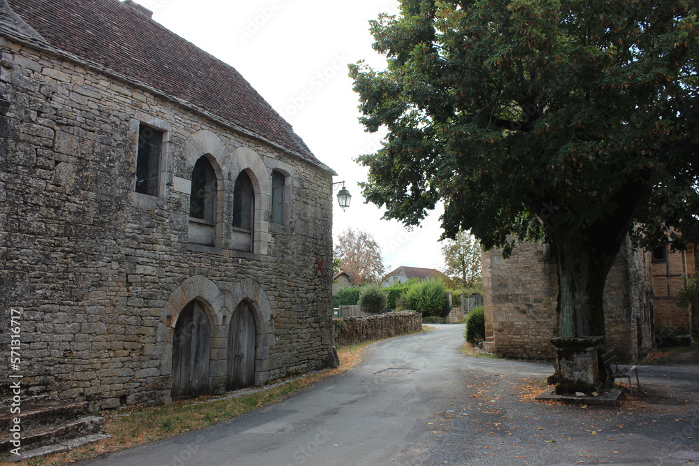 View over a small typical old French village square with a beautiful tree