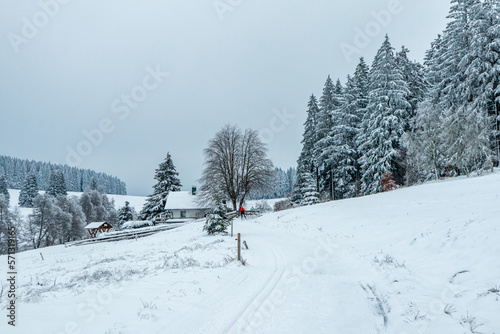 Schöne Winterlandschaft auf den Höhen des Thüringer Waldes bei Oberhof - Thüringen - Deutschland