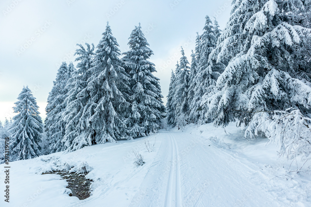 Schöne Winterlandschaft auf den Höhen des Thüringer Waldes bei Oberhof - Thüringen - Deutschland