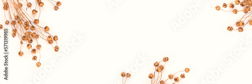 Banner with branches of dry flax flowers on a beige background. Selective focus.