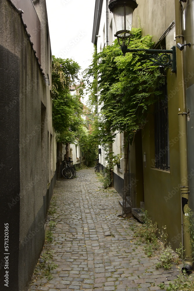 La ruelle de la Cigogne l'une des vestiges typiques de ruelles médiévales au centre historique de Bruxelles 