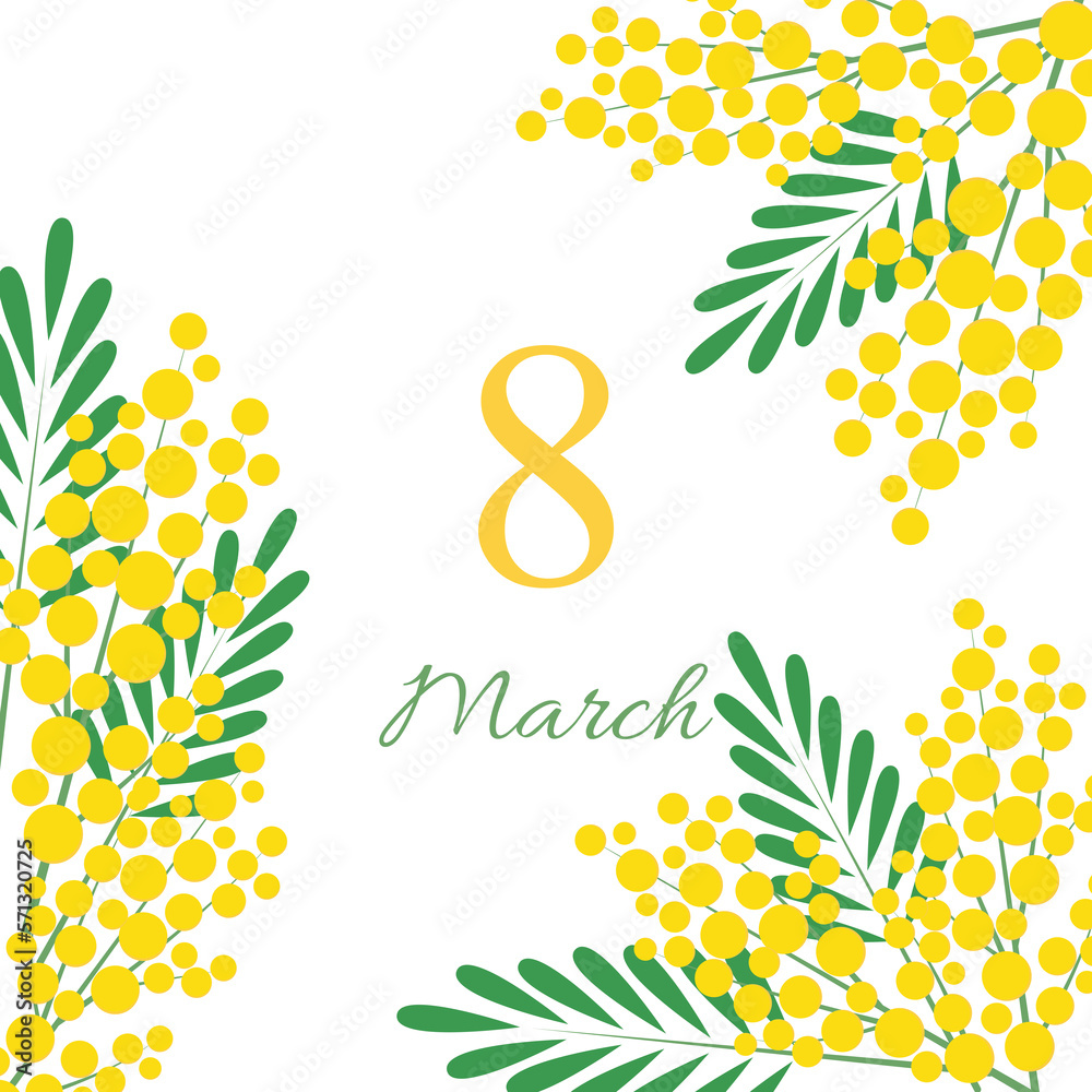 International Women's Day March 8. Greeting card design with mimosa flowers. Vector illustration on white background International Women's Day March 8. Greeting card design with mimosa flowers. Vector illustration on white background