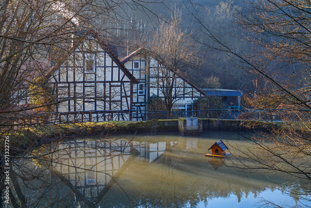 Dorfteich, Entenhaus, Fachwerk, Bäume, Morgennebel Dorfteich, Entenhaus, Fachwerk, Bäume, Morgennebel