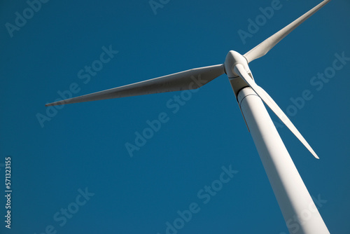 Wind turbine generator for green electricity production photo