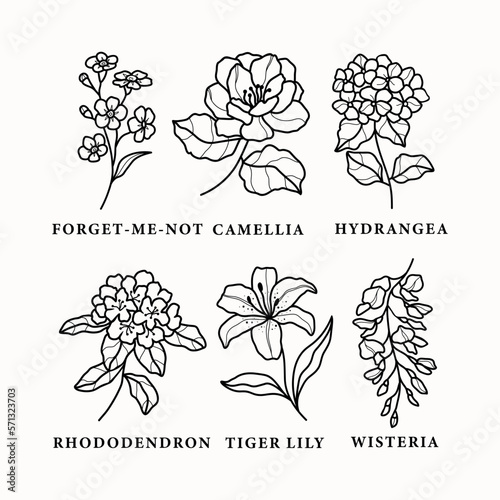 Set of line art garden flowers