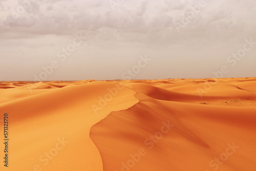 Sand dunes desert Background - Beautiful Arabian desert