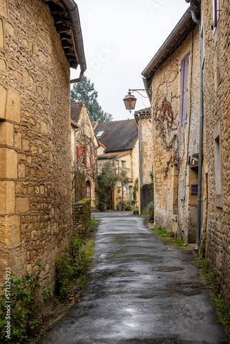 Fototapeta Naklejka Na Ścianę i Meble -  Saint leon sur Vezere is old medieval town, Perigord Noir in Dordogne, France.