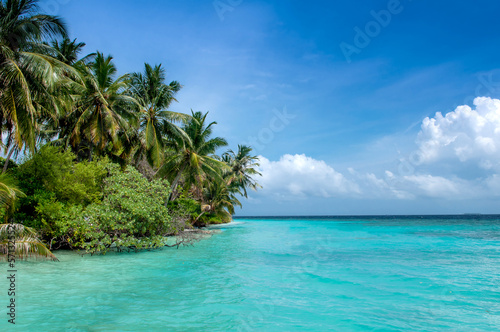 Beautiful Maldives island, beach with palm trees and azure water. Vacation concept travel holiday background banner. Maldives paradise beach. Luxury travel to tropical paradise. © Vera