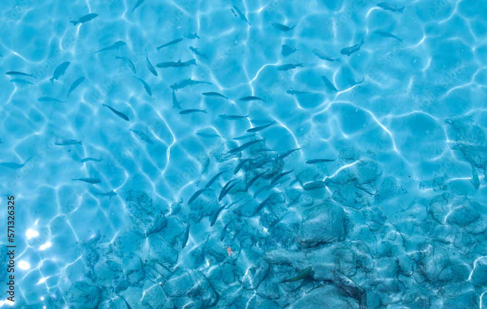 Obraz premium Water background, turquoise shallow sea water. Beautiful texture of sun glare on the water.