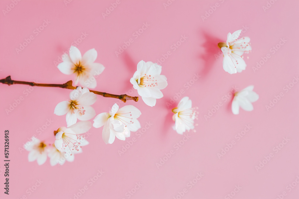 Cherry Blossom Stem - A delicate white cherry blossom stem with petals falling against a pale pink background - Generative AI technology