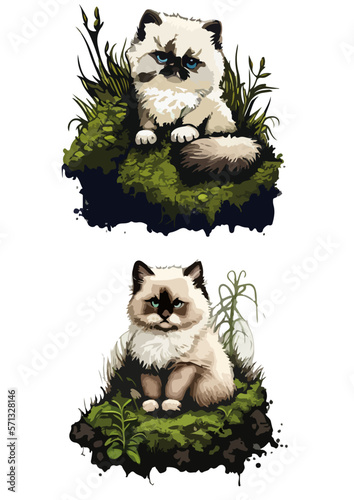 Ragdoll in the grass illustration 