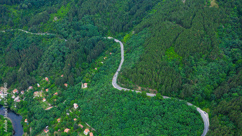 Aerial view of winding road trough the dense woods.
