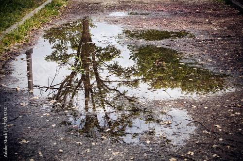 Fototapeta Naklejka Na Ścianę i Meble -  A puddle with reflection on a rainy day
