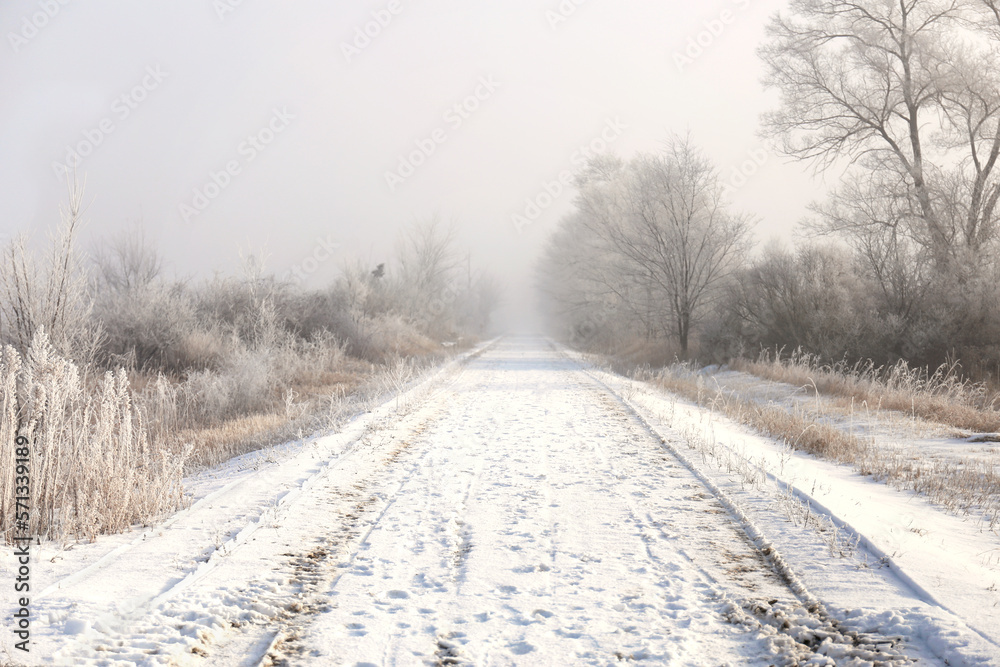 Mysterious Foggy Winter Road Leading Down Misty Path Mysterious Foggy Winter Road Leading Down Misty Path