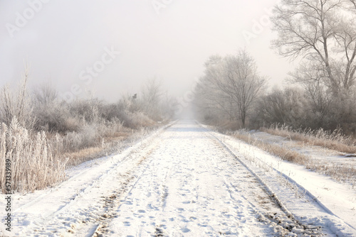 Mysterious Foggy Winter Road Leading Down Misty Path