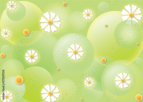 Illustration background with circles pattern of white chamomiles and daisies. Spring floral background green wallpaper with bubbles and white flowers in vector and jpg.