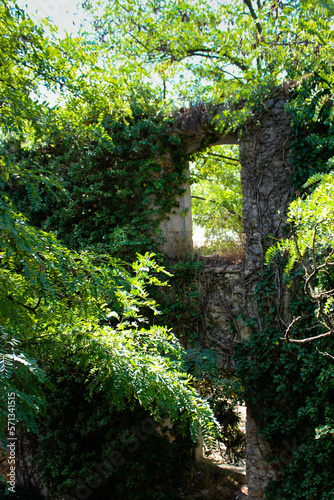 two windows  one on top of the other  set in a medieval wall covered with vivid green vegetation