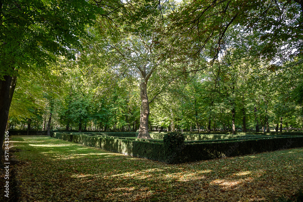 Sunny autumn landscape of park and gardens full of trees and plants plus fallen leaves, in Sunny autumn landscape of park and gardens full of trees and plants plus fallen leaves, in