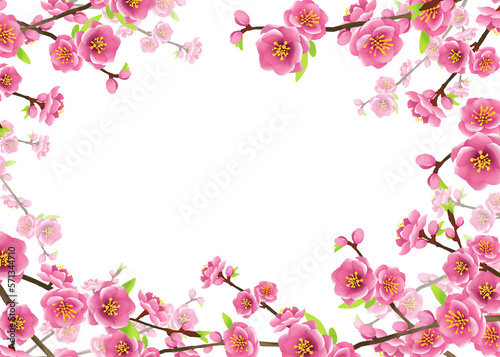 frame of peach tree with pink flowers 