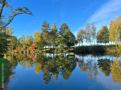 Autumn park with colorful trees over calm lake water. © OLENA