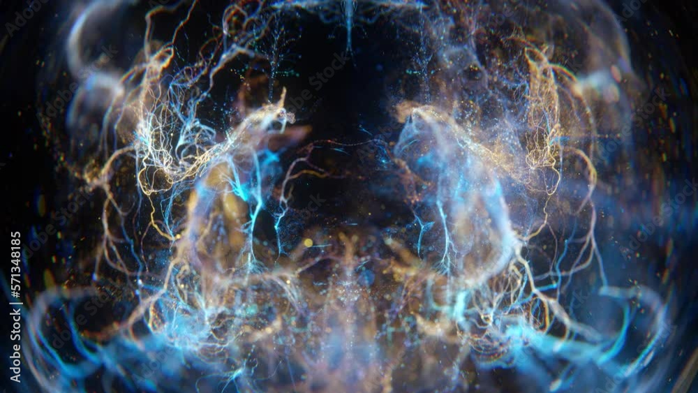 Particle brain fisheye lens