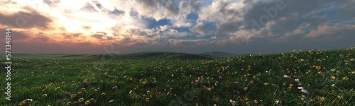 Panorama of a blooming spring meadow, flowers and grass under the sky at sunset, 3d rendering