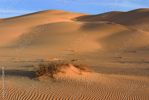 Fototapeta Naklejka Na Ścianę i Meble -  SAHARA DESERT IN ALGERIA AND SAND DUNES AROUND DJANET OASIS AND ERG ADMAR