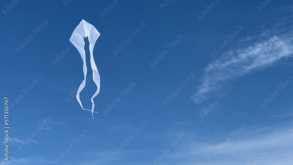 Pure white ghost-like kite flies near orange red kite in a brilliant blue sky