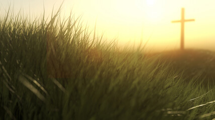 A single cross in a grassy meadow.